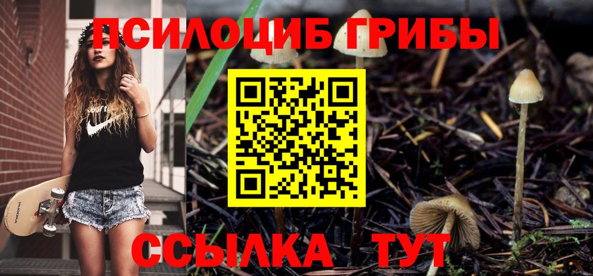 Галлюциногенные грибы ЛСД Южноуральск