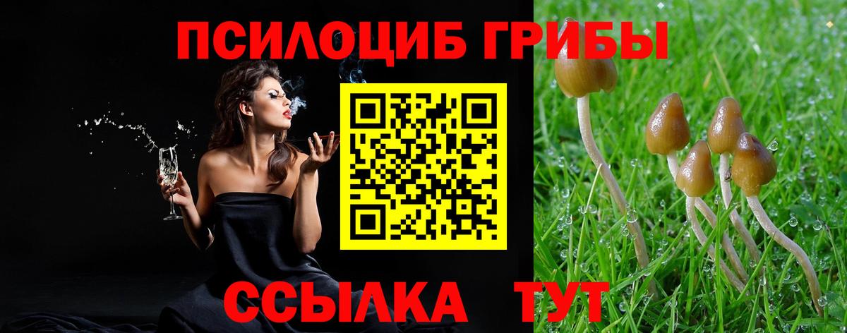 Южноуральск  Галлюциногенные грибы Magic Shrooms  Вход с VPN  Галлюциногенные грибы мицелий 