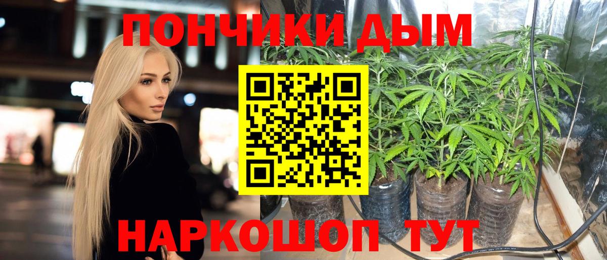 Каннабис марихуана  Бошки марихуана тримм  Бошки марихуана планчик  Южноуральск  Вход с VPN 